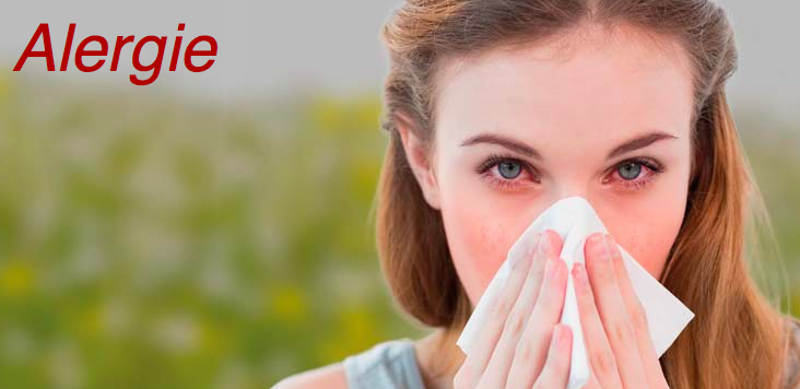 Co dělat, když vás trápí alergie?